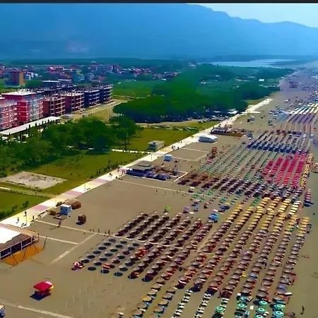 Ajsa